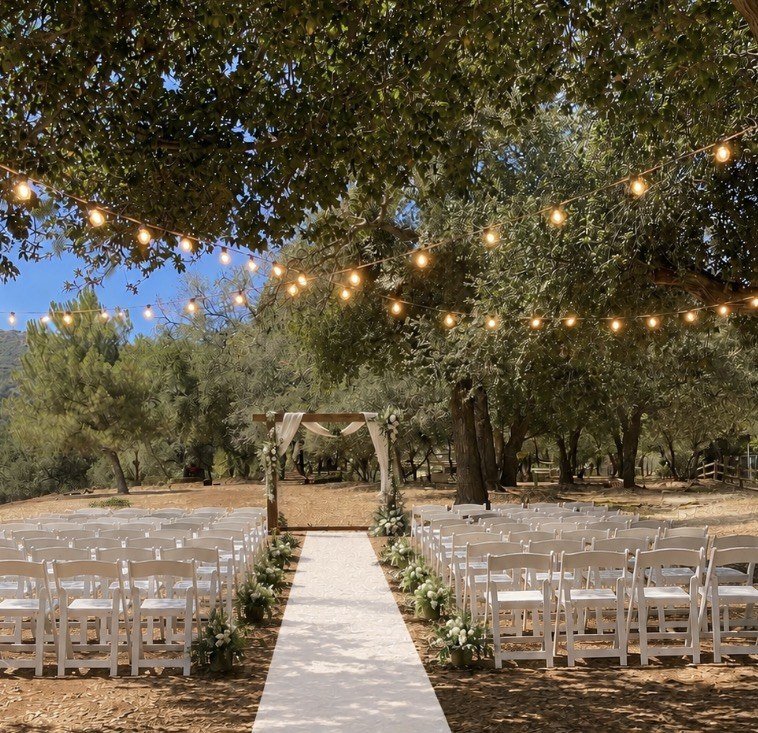 Outdoor ceremony setup inspiration with white chairs beneath trees and string lights